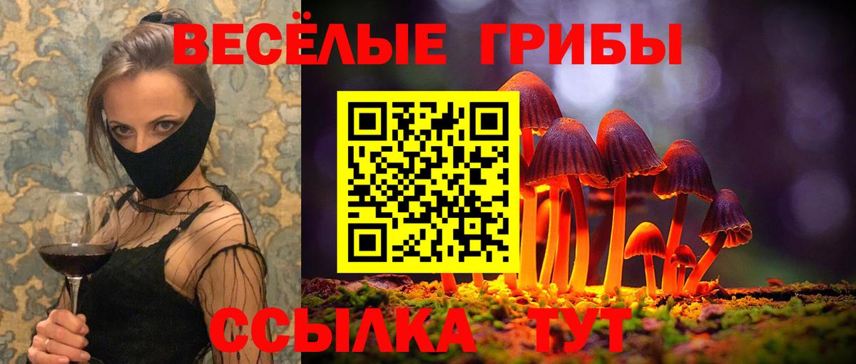 Галлюциногенные грибы прущие грибы Новокубанск