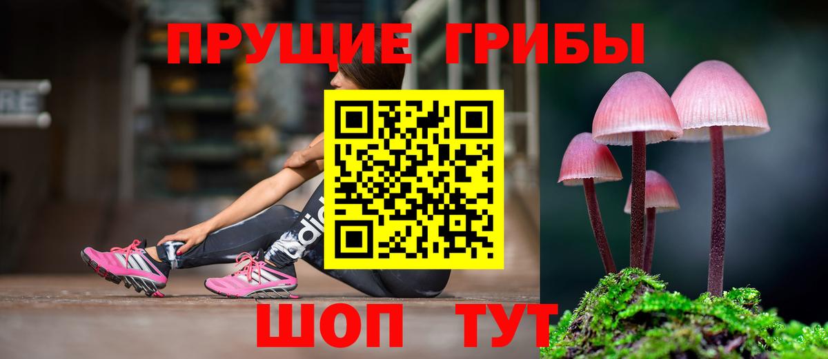 Псилоцибиновые грибы прущие грибы Новокубанск
